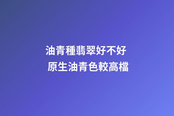 油青種翡翠好不好  原生油青色較高檔